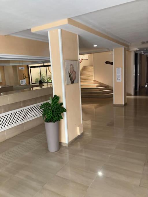 Apartament Sunset Aliss Puerto de Santiago  Buitenkant foto